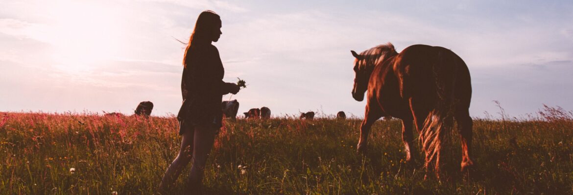 girl_and_a_horse_banner