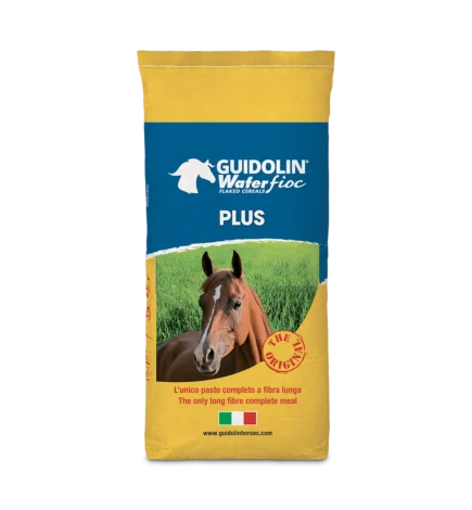 Guidolin Wafer Fioc Plus ALOGO