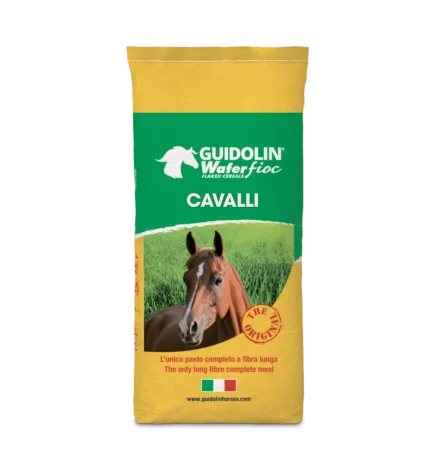 Guidolin Cavalli alogo