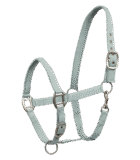 xfull päitsed alogo