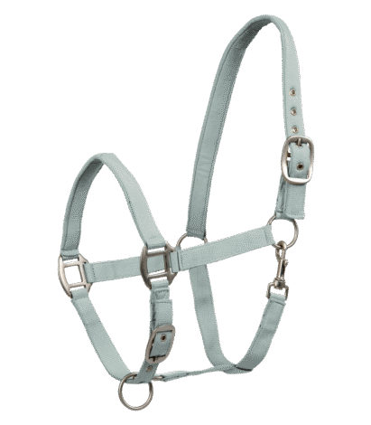 xfull päitsed alogo