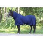 kaleaosaga fliistekk hobusele alogo 1