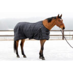 tallitekk lainer 100g alogo 2