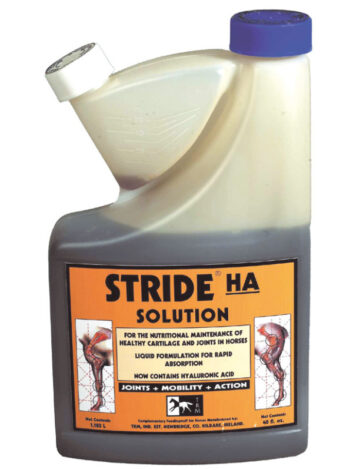 Stride liigestele ja kõõlustele alogo