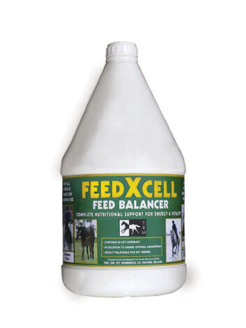 FEEDXCELL MULTIVITAMIN