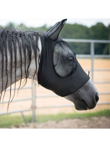 lukiga kärbsemask alogo