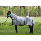 UV kaitsega kärbsetekk alogo