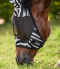 zebra kärbsemask putukamask hobusele alogo (1)