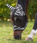 zebra kärbsemask putukamask hobusele alogo (3)